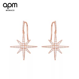 APM EARRINGS A205