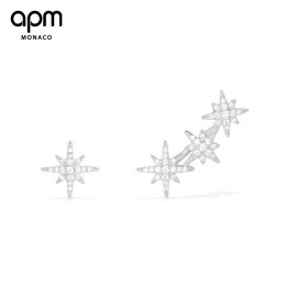 APM EARRINGS A248